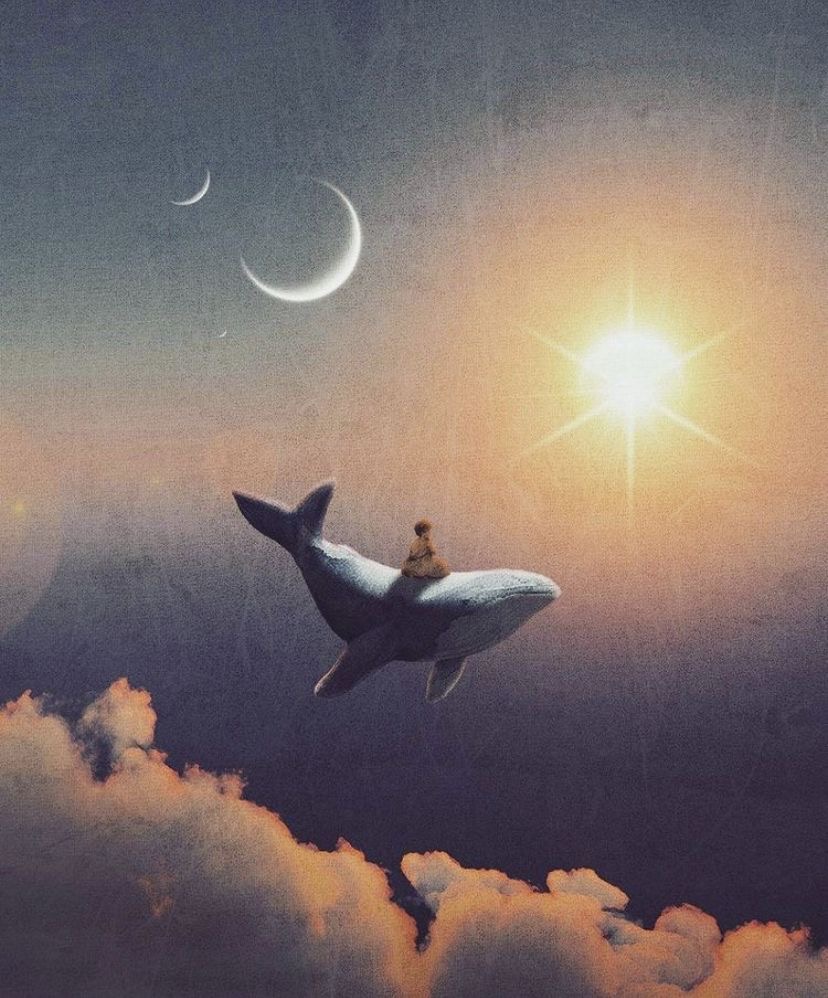 Lucid Dreams