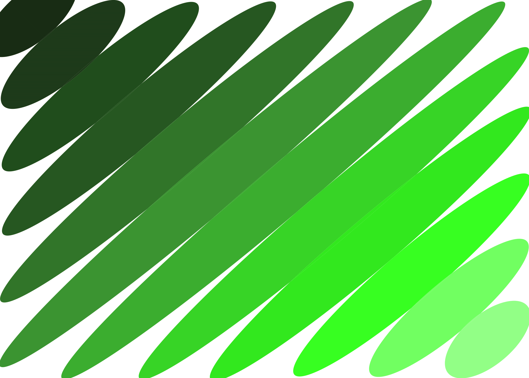 Eighth slide