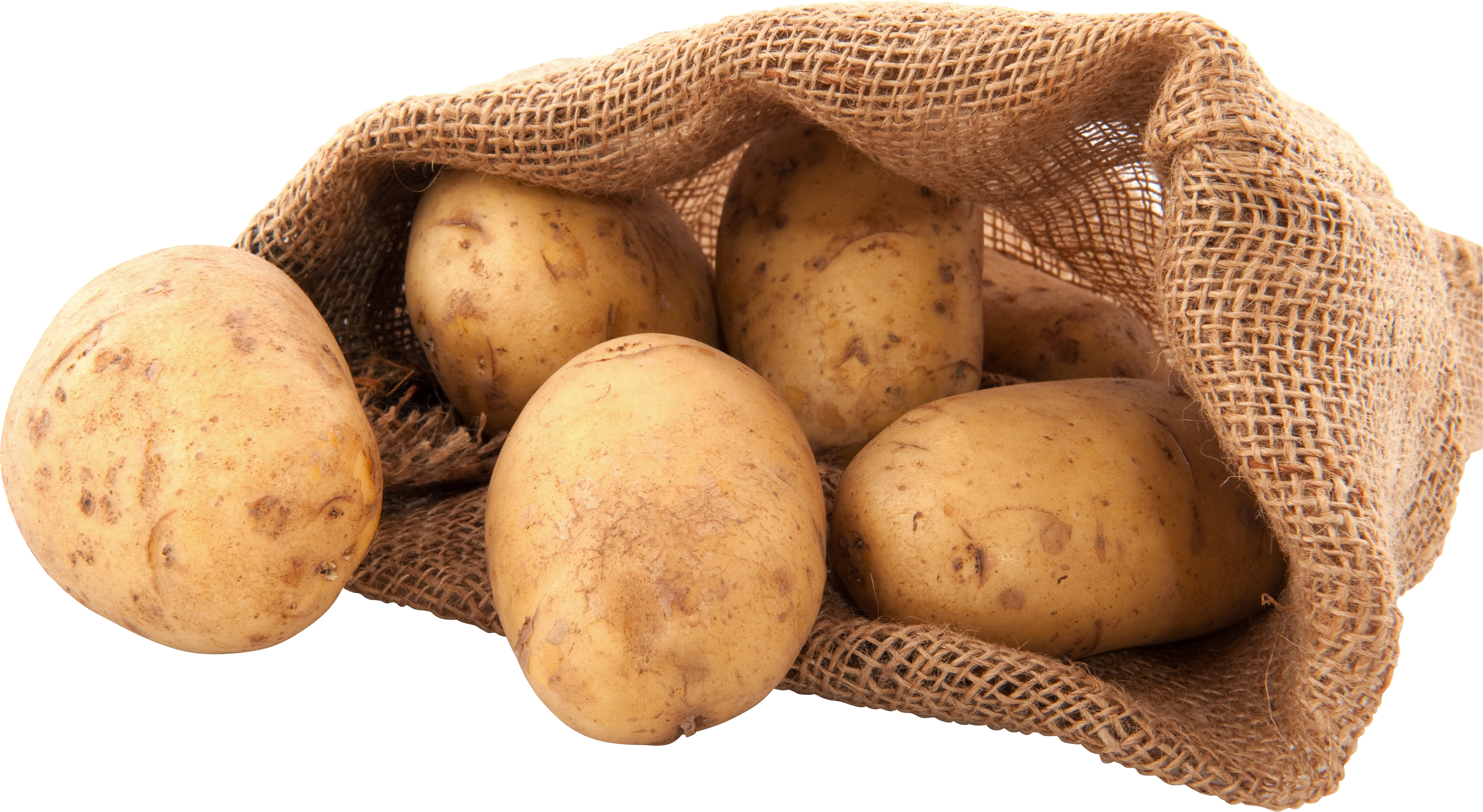Potato