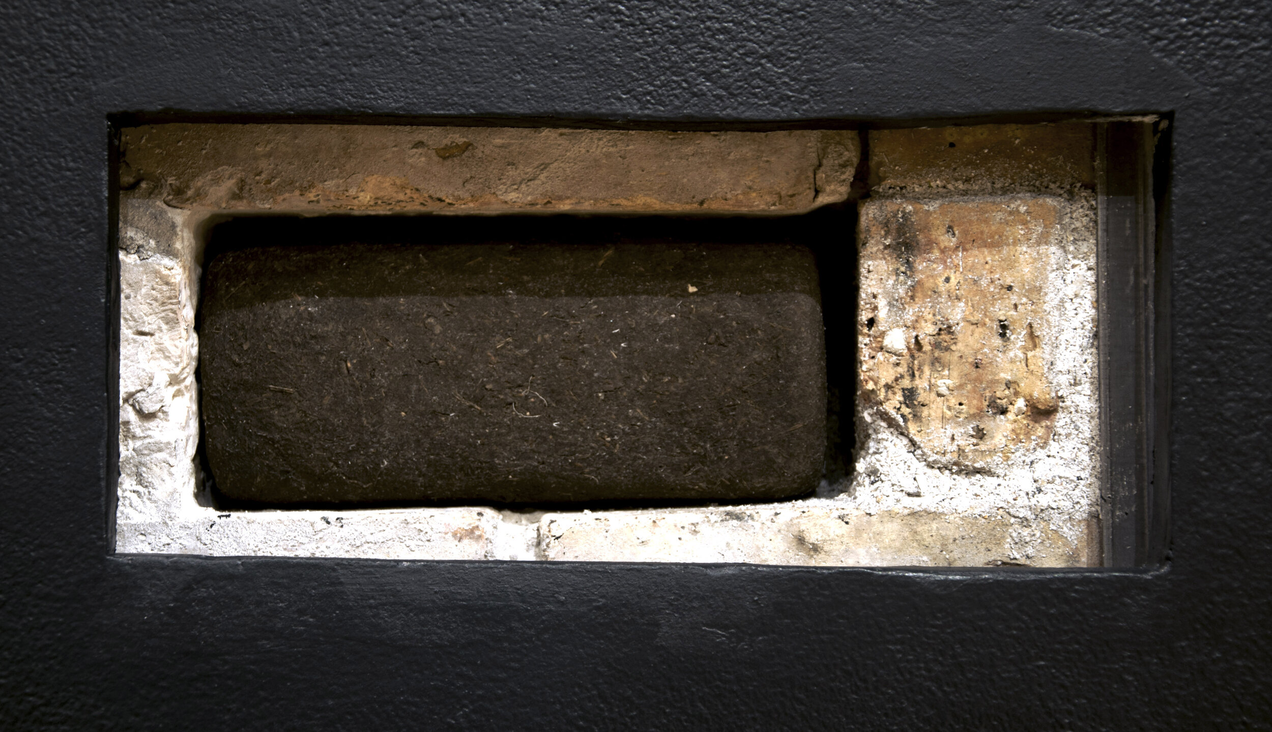 bird with poem inherent. 2017.