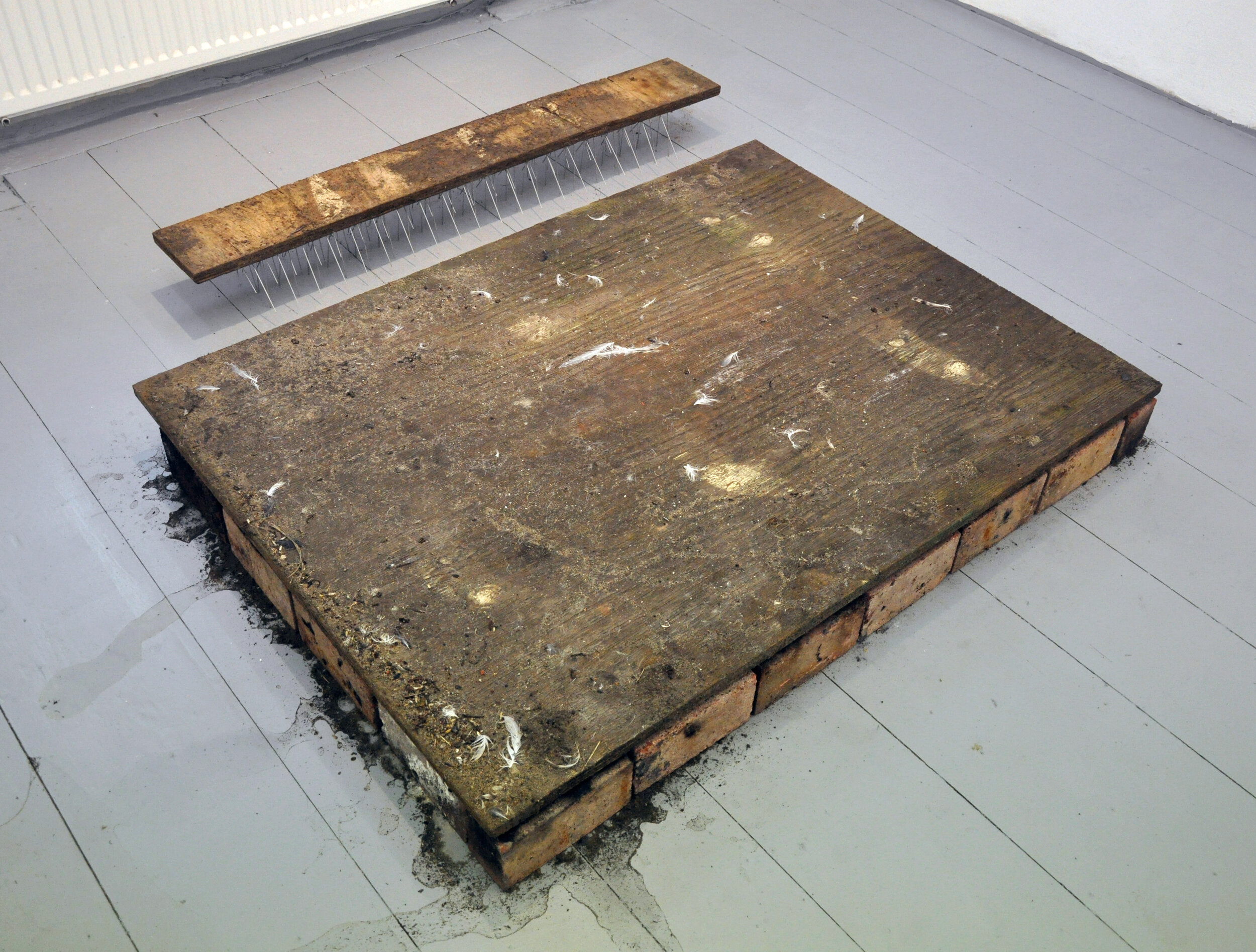 i walked in particular weather. 2014.