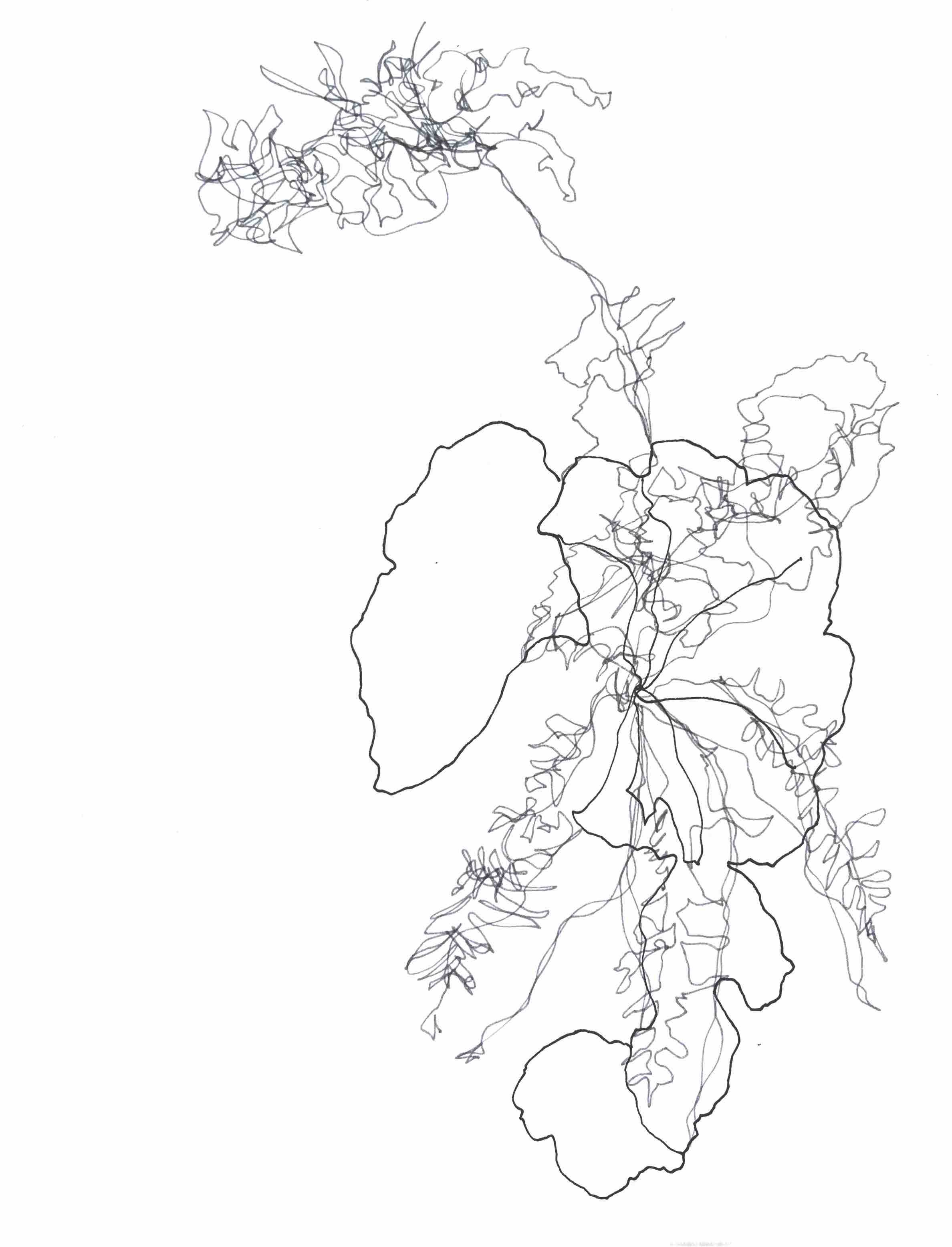 (un)avoidable silence. 2024.