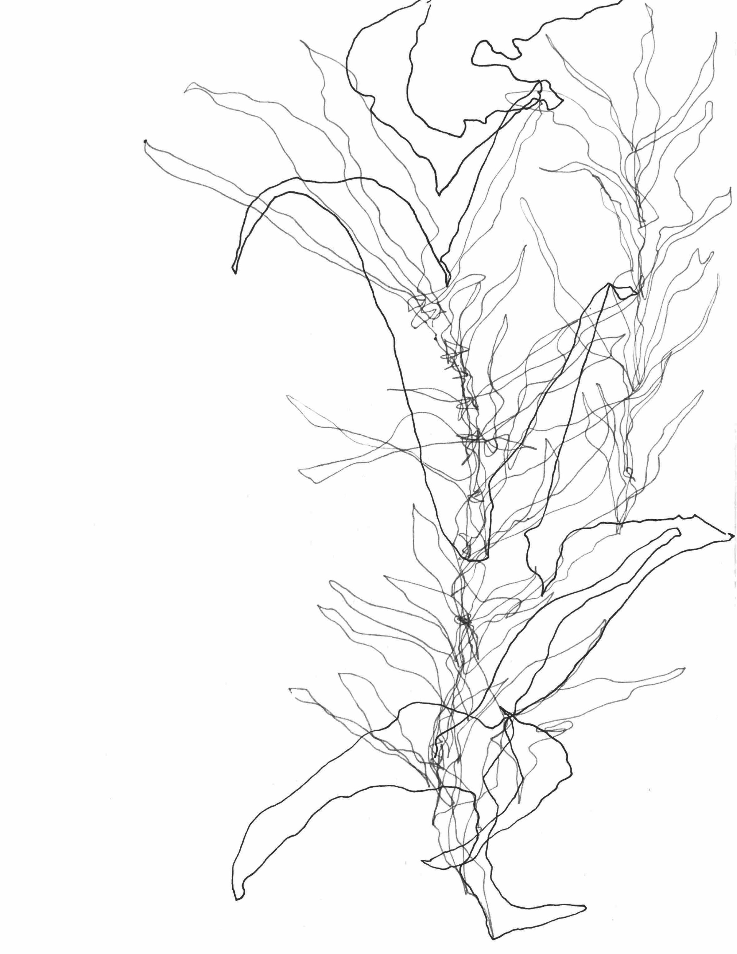 (un)avoidable silence. 2024.