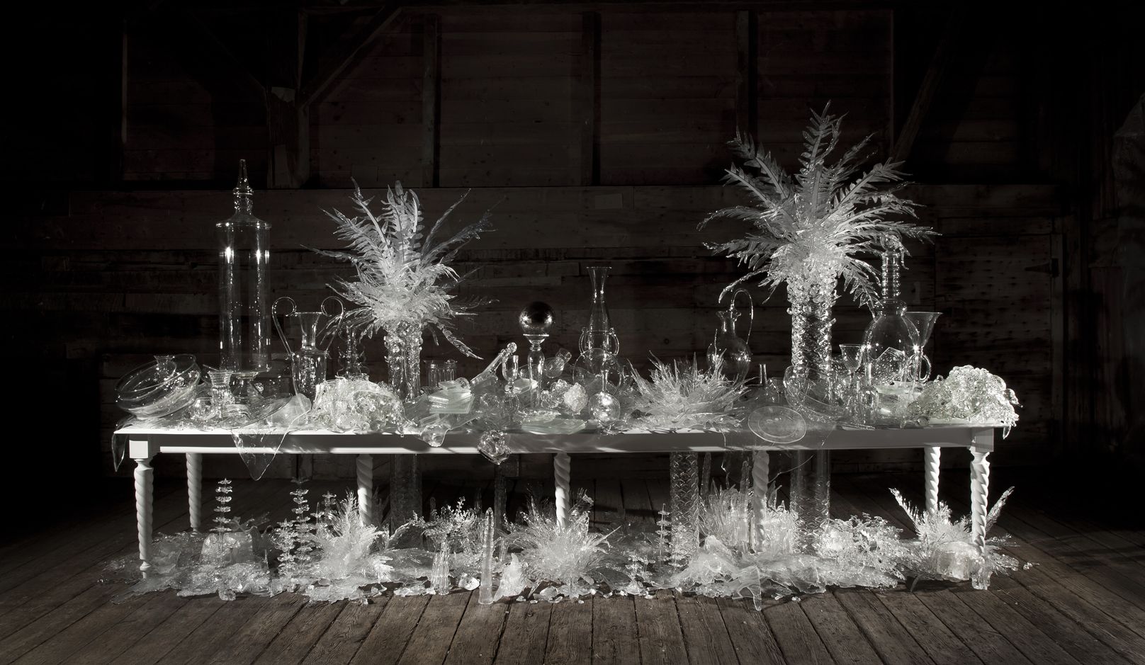 laid (time-) table with cycads. 2015.